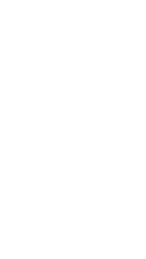 Native Caribbean Logo - Submark
